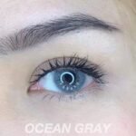 عدسة Ocean Gray