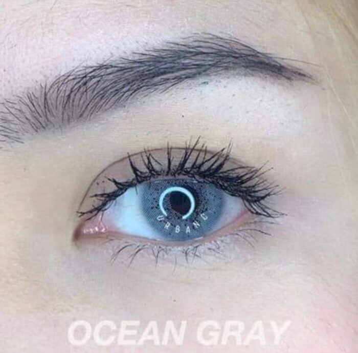 ⁦عدسة Ocean Gray⁩ - الصورة ⁦1⁩